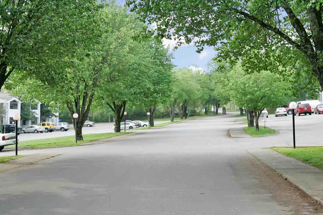 Lily Grace South - Photo 5 of 16