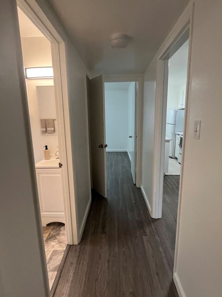 317 Hanover Apartments - Photo 7 of 13