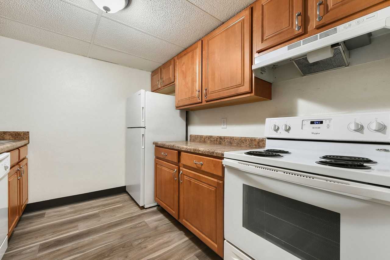 The Angelan - Photo 3 of 50