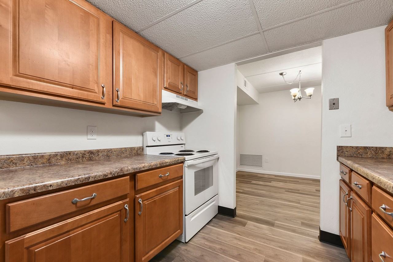 The Angelan - Photo 4 of 50