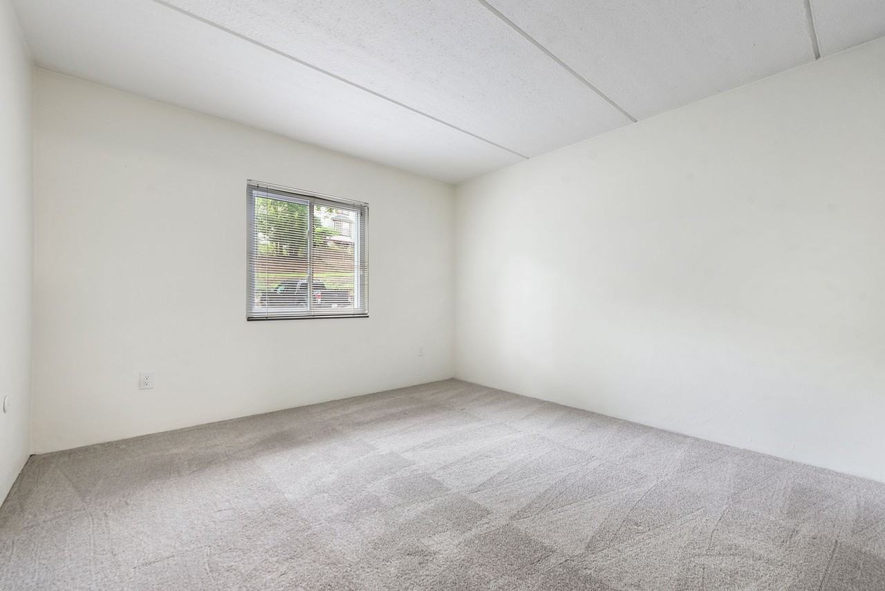 The Angelan - Photo 5 of 50