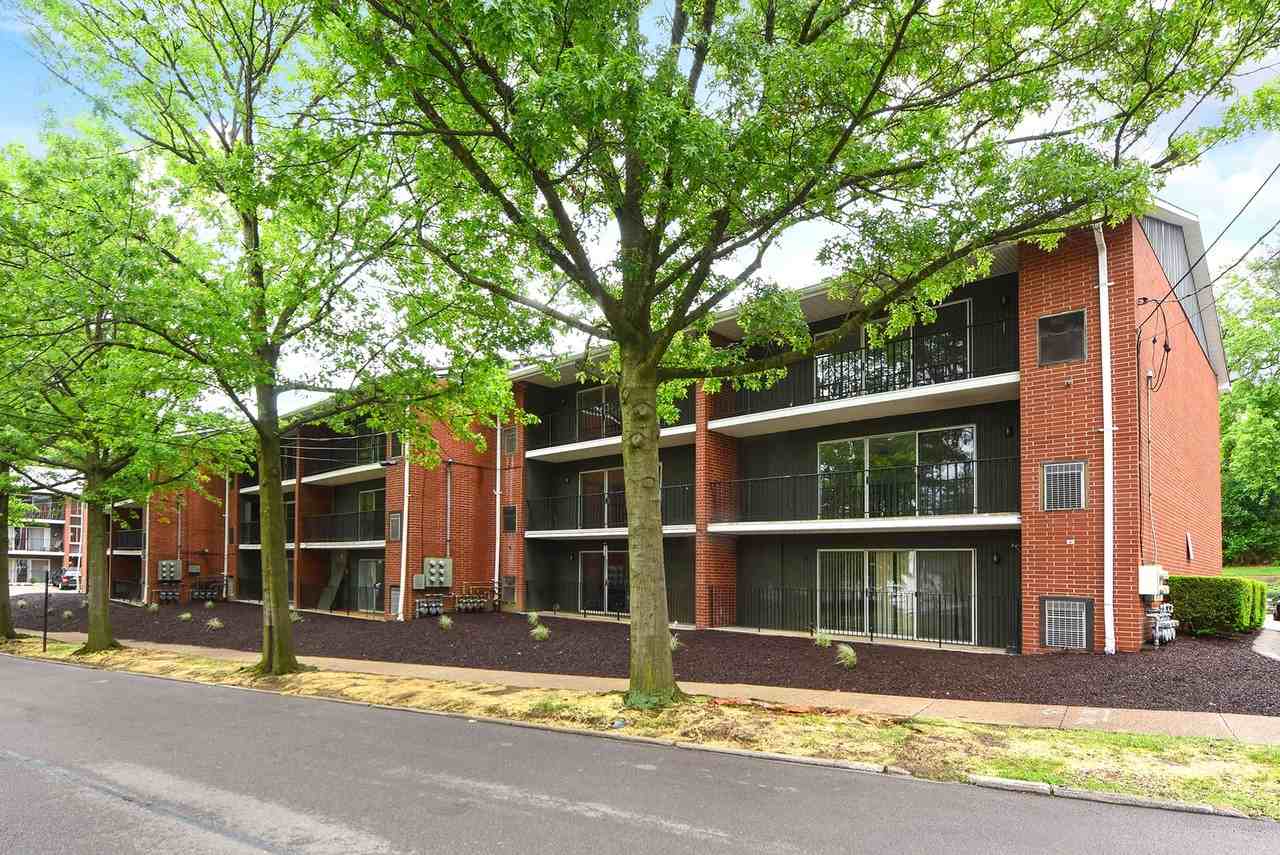 The Angelan - Photo 7 of 50