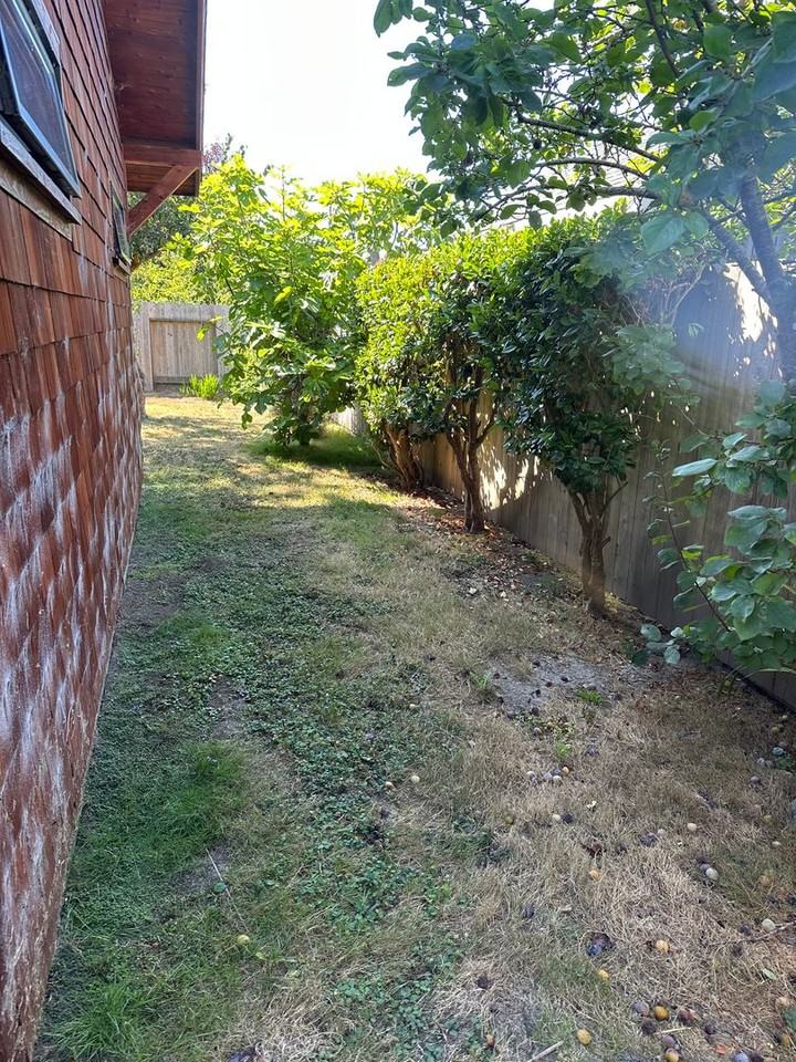 1658 10th Street #A - Photo 6 of 31