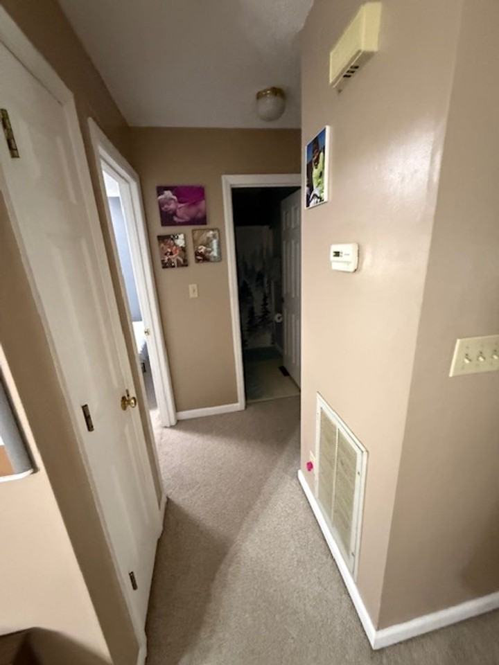 223 Brown School Rd - Photo 7 of 19