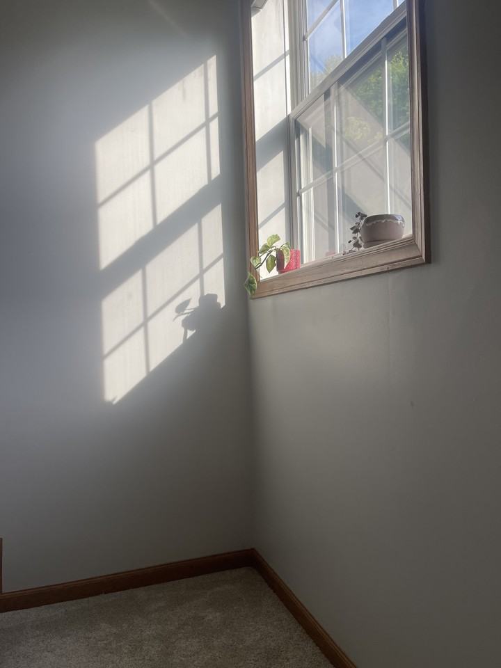 1880 Fisher Way - Photo 3 of 20