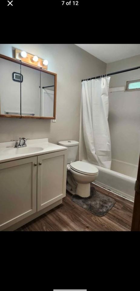 1011 Park Dr - Photo 7 of 18