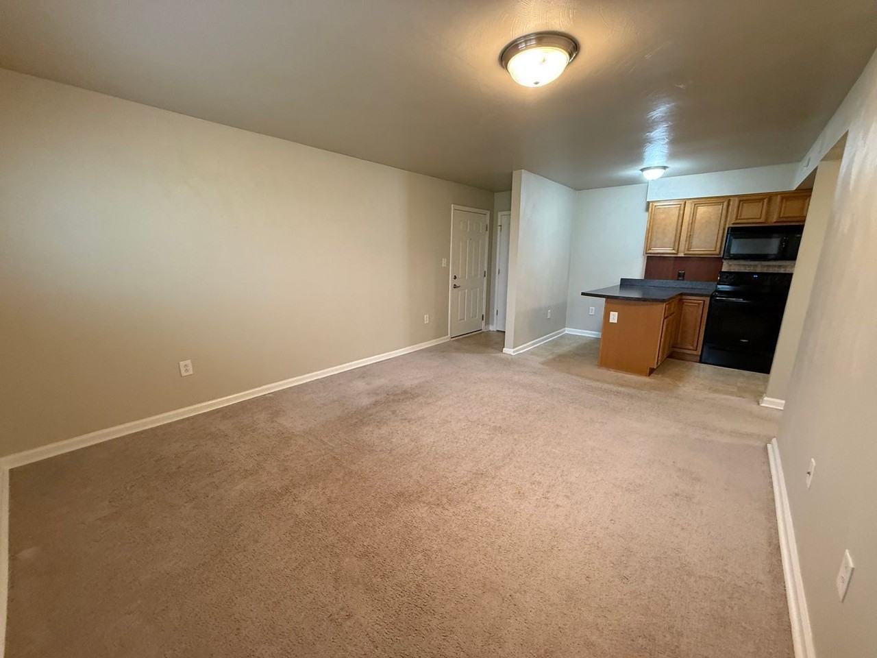 1730 Liberty Ln #14 - Photo 4 of 11
