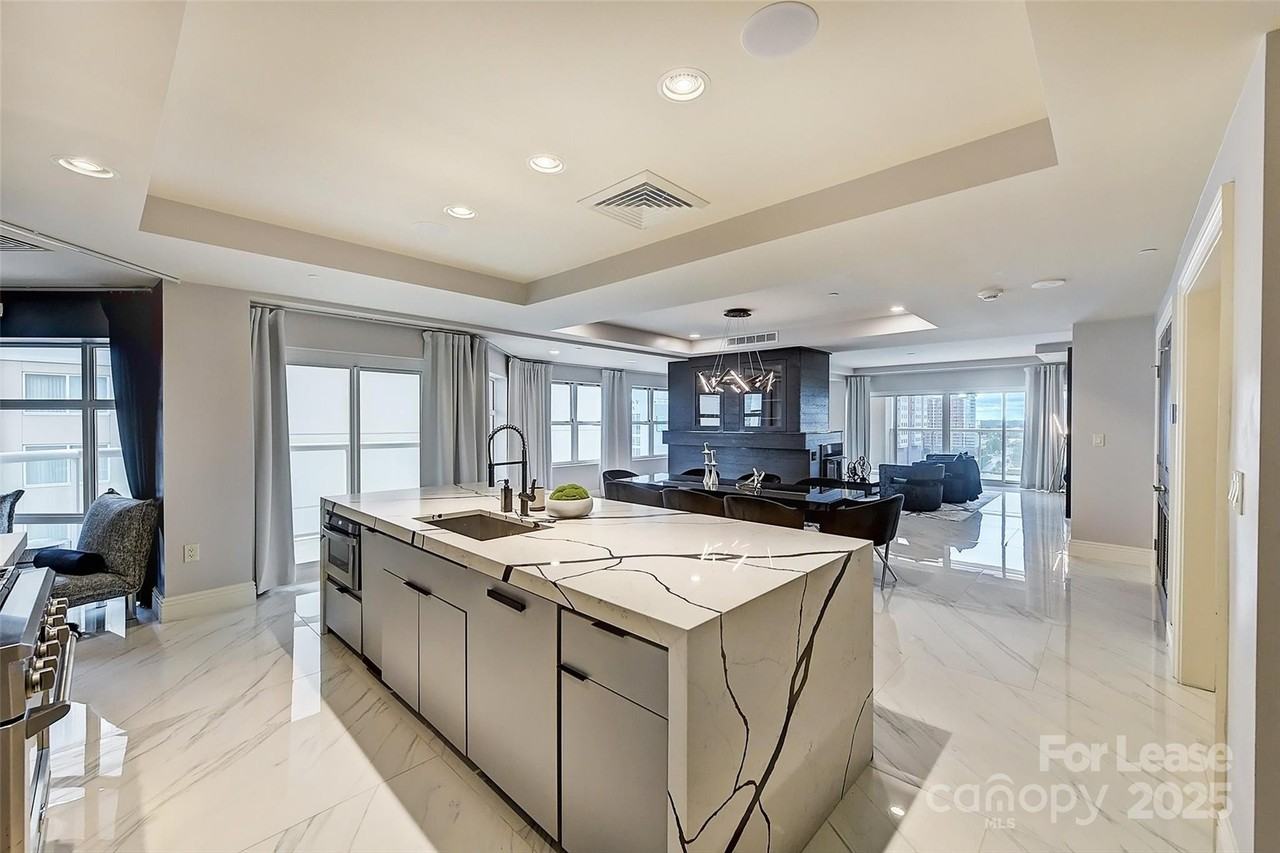 520 East Martin Luther King Jr Boulevard #1102 - Photo 3 of 31