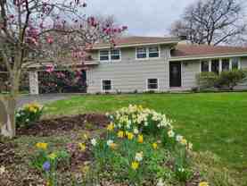 7516 Main St - Photo 1 of 1