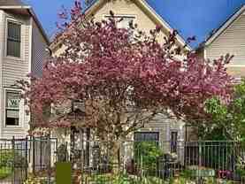 3745 N Seminary Ave #1 - Photo 1 of 1