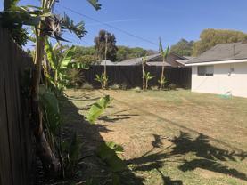 233 Big Sur Dr - Photo 1 of 1