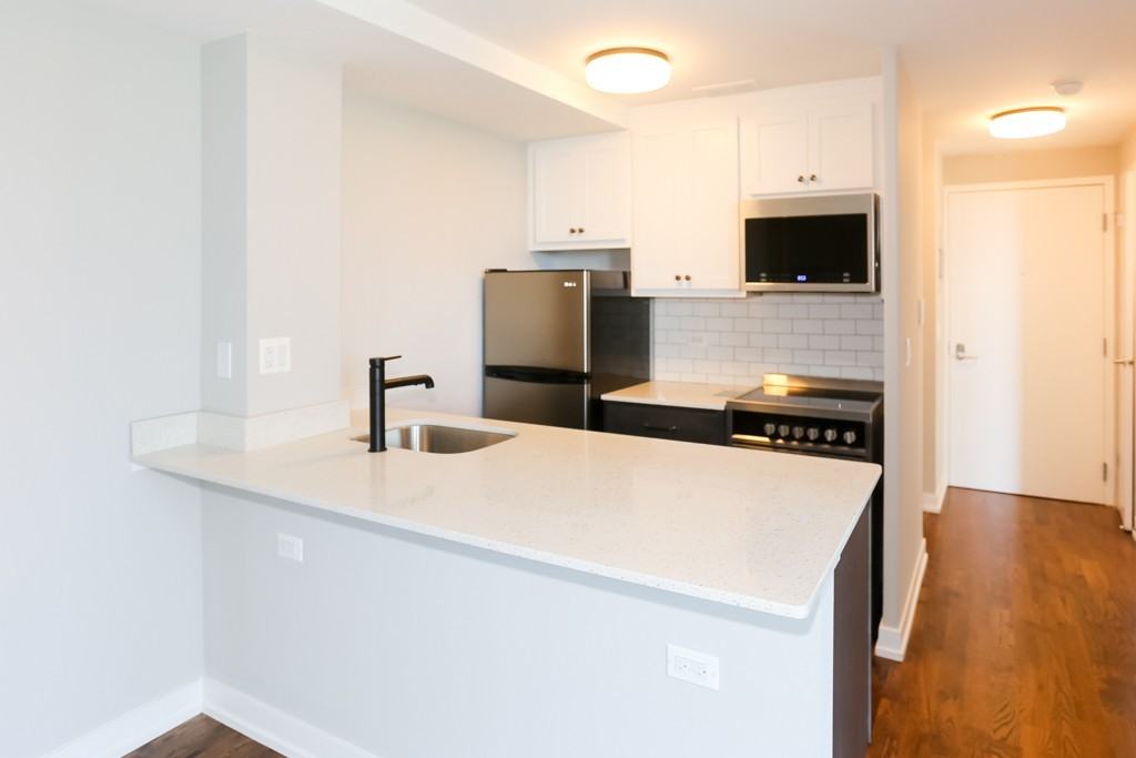5910 N Sheridan Rd #503 - Photo 3 of 18