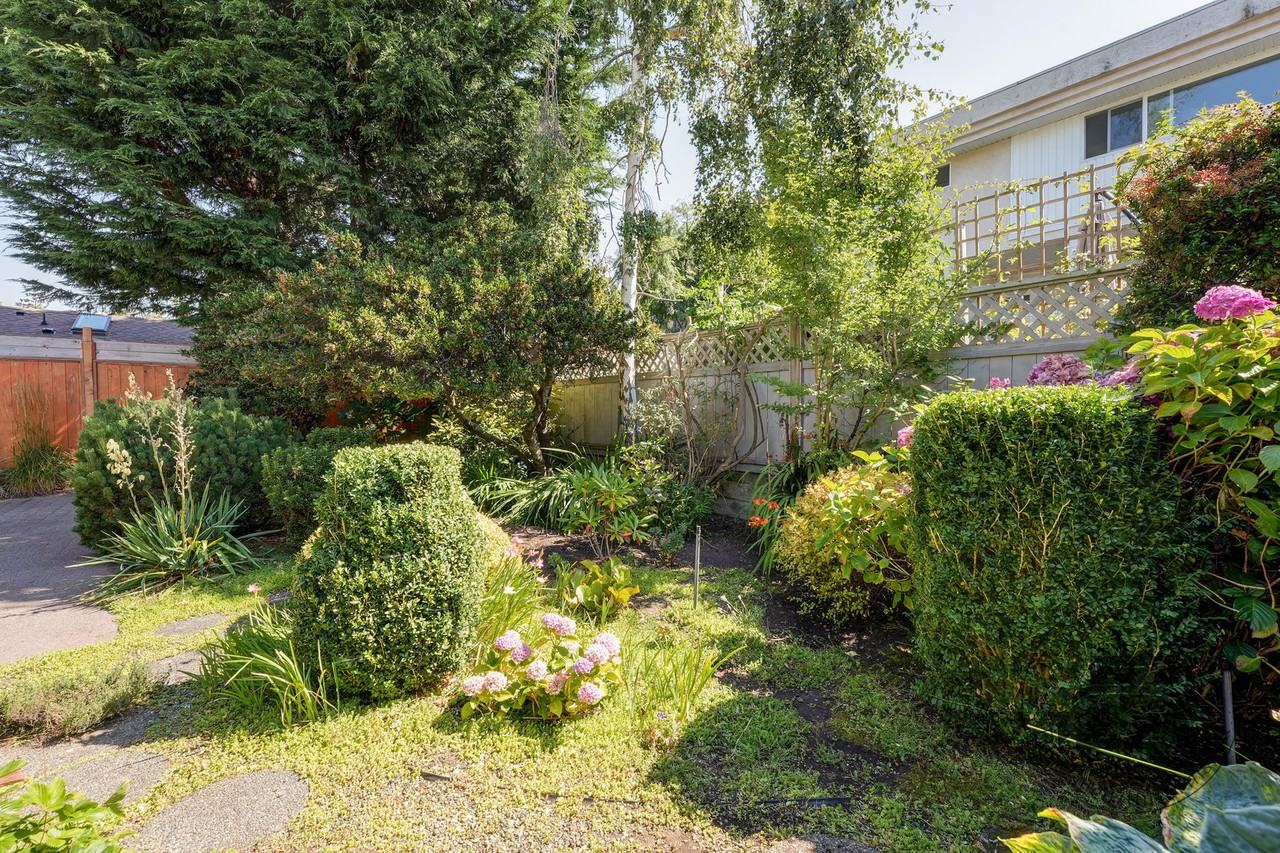 57 Dock Street - Photo 3 of 19