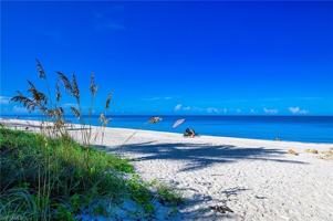 featured image of 25 Bluebill Ave #403