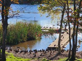 featured image of 65 Kinsac Road