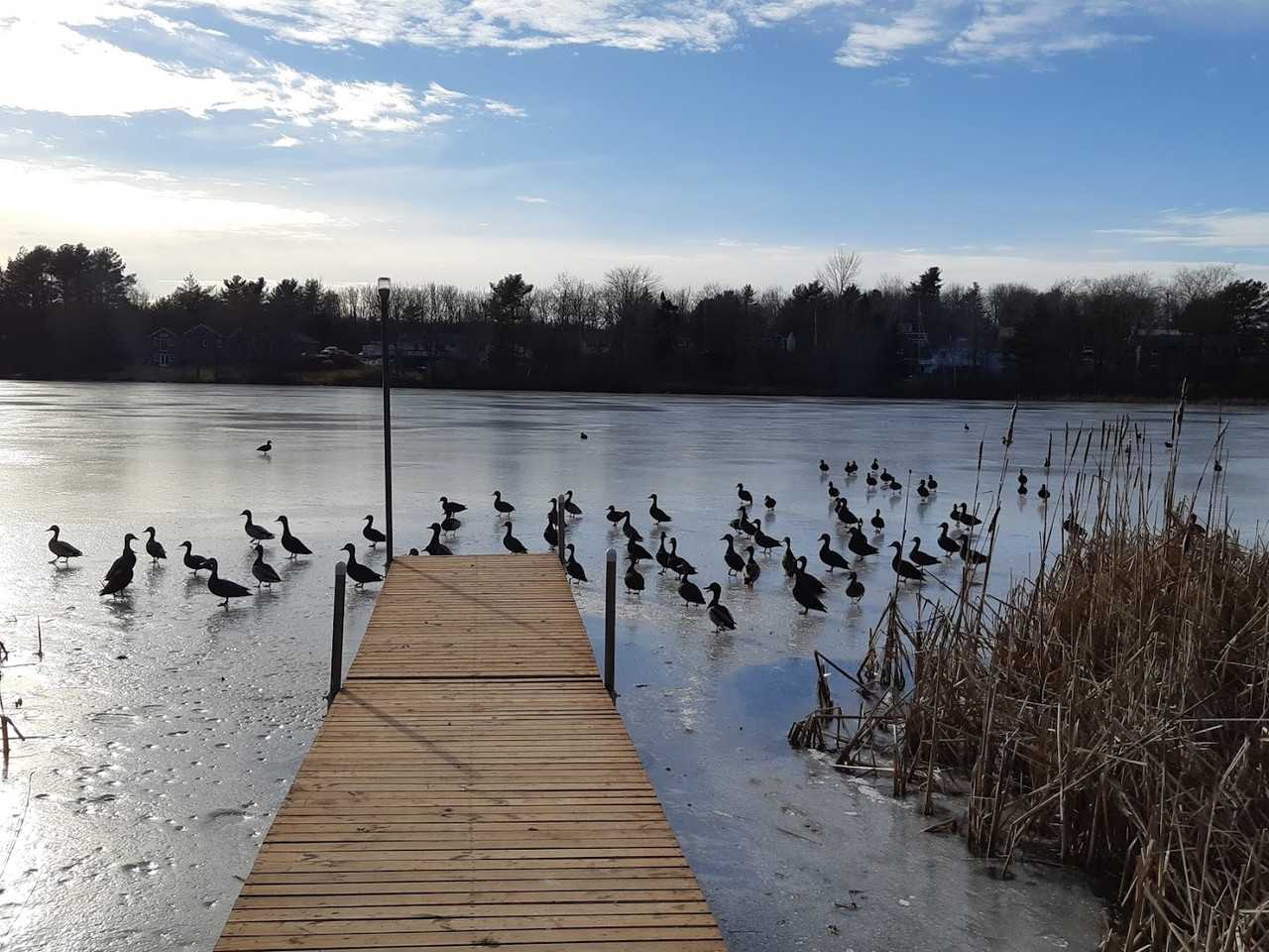 65 Kinsac Road - Photo 7 of 17