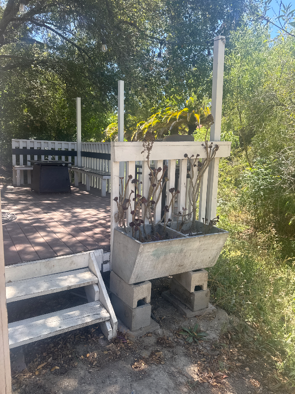 12715 Beeler Creek Trl - Photo 3 of 13