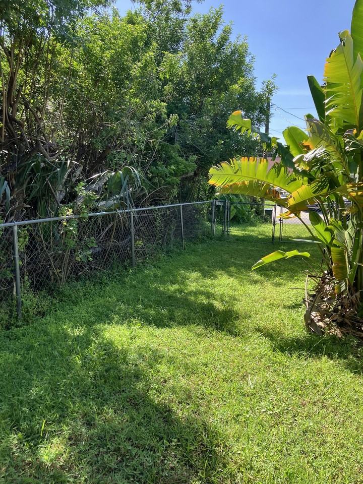 3808 Tonkin Drive - Photo 3 of 17