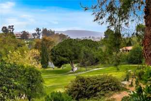 27751 Via Alberti - Photo 1 of 1