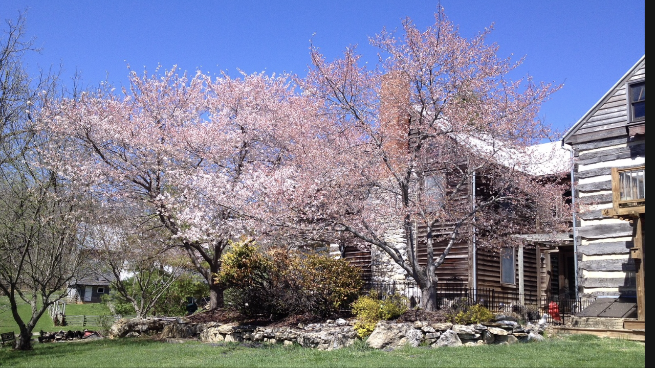 128 Shawnee Hill Trl #NA - Photo 3 of 27