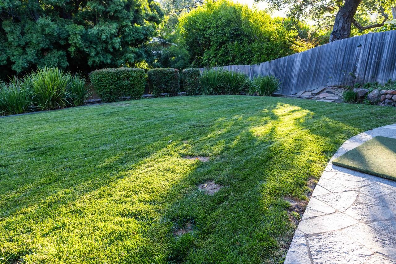 118 Cornelia Ave #NA - Photo 3 of 21