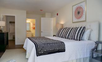 The Woodlands - Photo 1 of 1