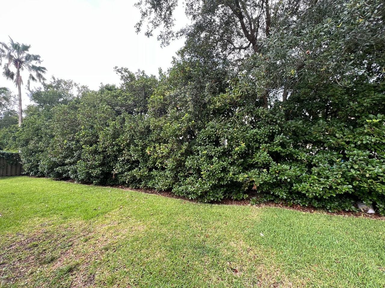 1449 Blue Heron Ln - Photo 3 of 40