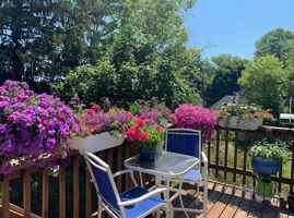 featured image of 322 Merrimac St #322-2