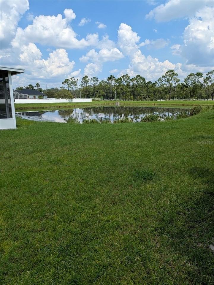 25403 Saddlehorn Way - Photo 3 of 18