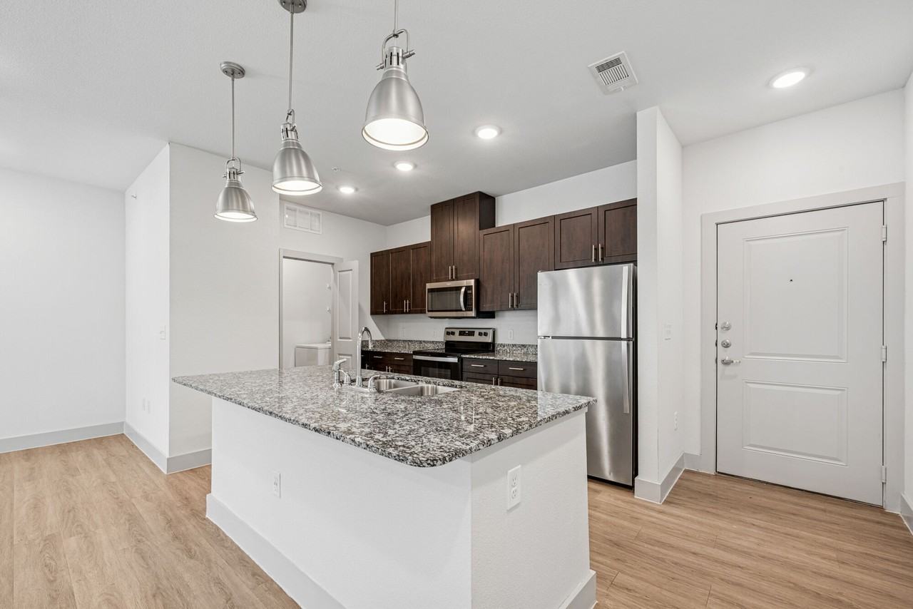 Plum Tree - Photo 2 of 36