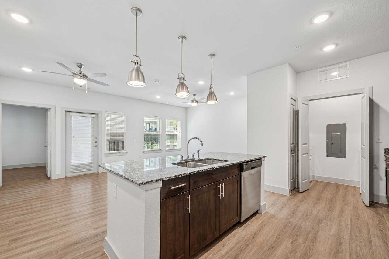 Plum Tree - Photo 3 of 36