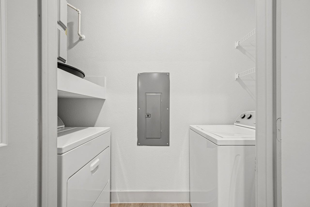 Plum Tree - Photo 5 of 36