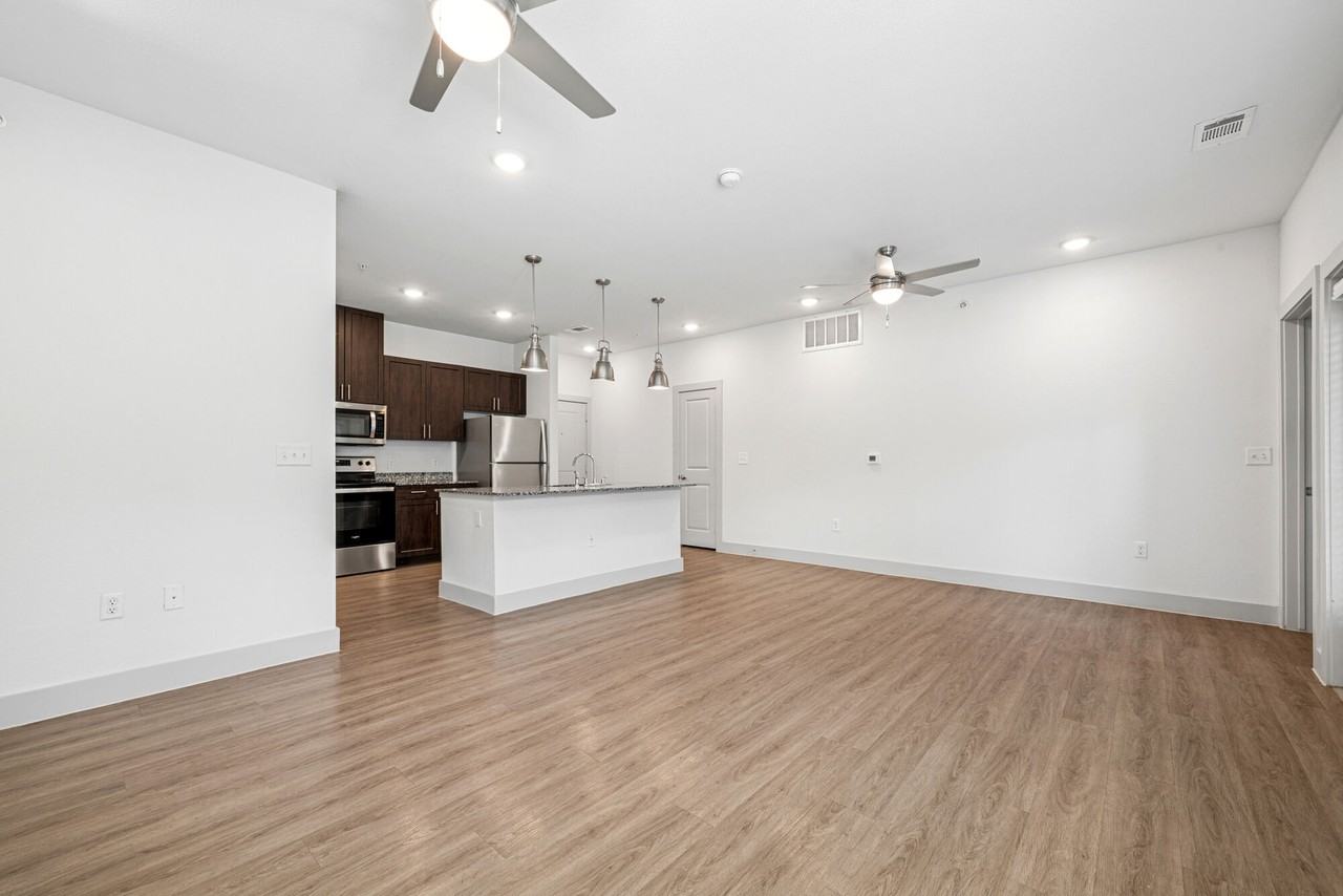 Plum Tree - Photo 7 of 36