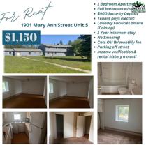 1901 Mary Ann St - Photo 1 of 1