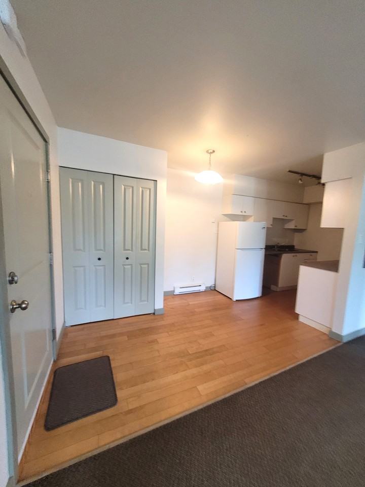 4611 4603-4611 Scott Avenue - 29 #29 - Photo 2 of 8