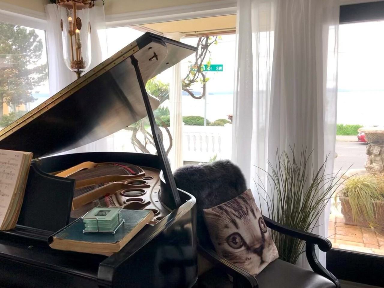 4146 Beach Dr Sw #1292054P - Photo 4 of 50