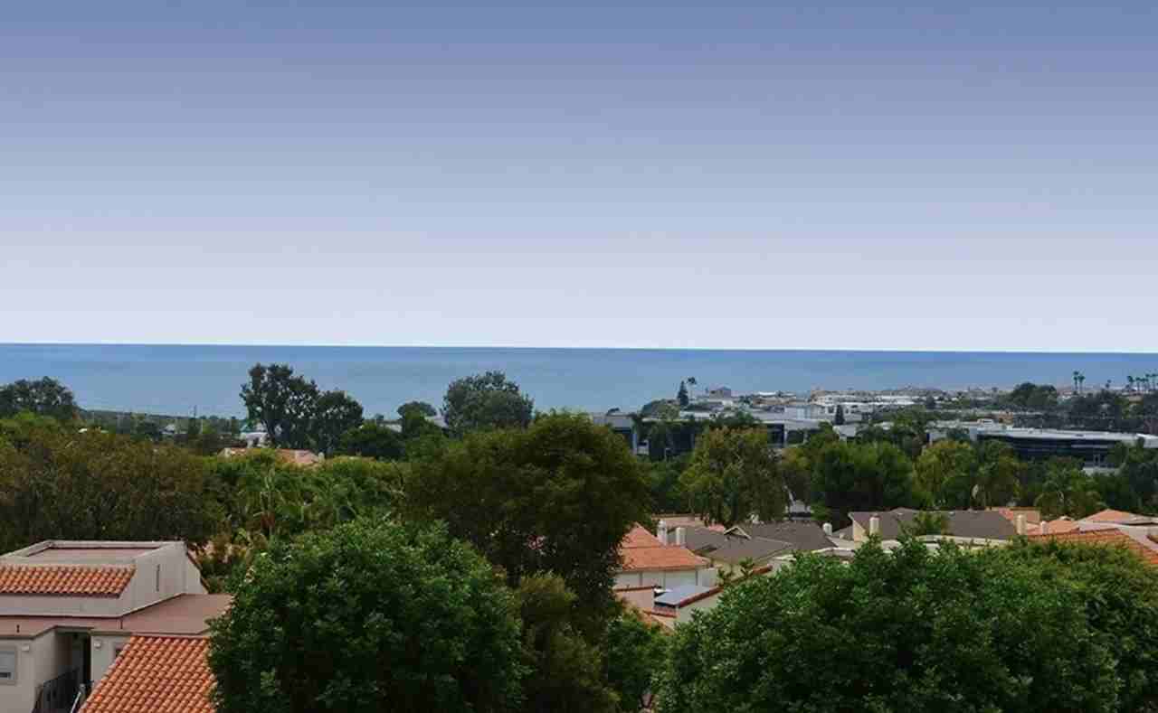 908 Caminito Madrigal #D - Photo 2 of 30