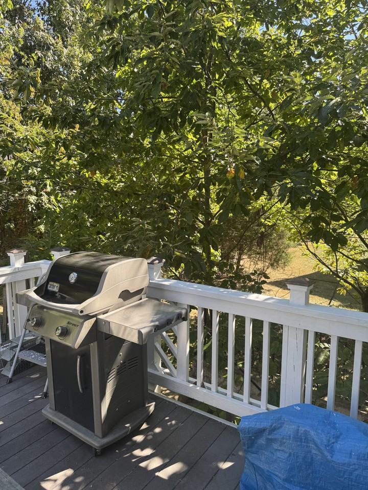 24794 Serpentine Place #NA - Photo 2 of 26