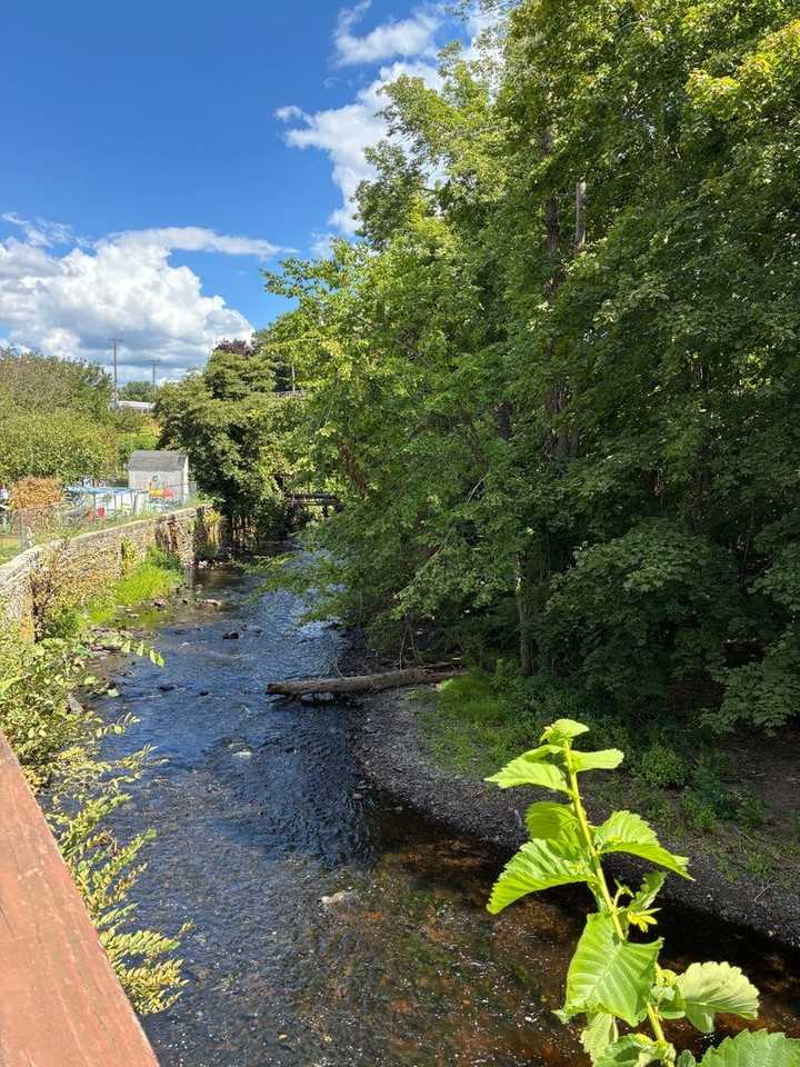 42 S Main St - Photo 3 of 11