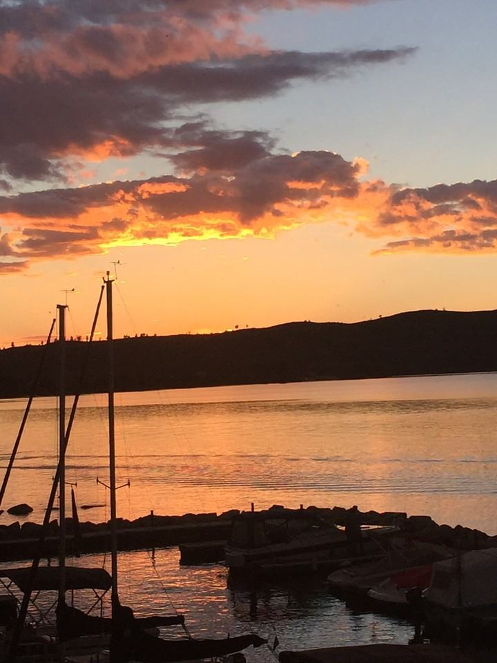 133 S Fremont Ave #1 - Photo 2 of 33