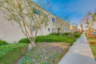 Secure, Courtyard - Photo 1 of 1