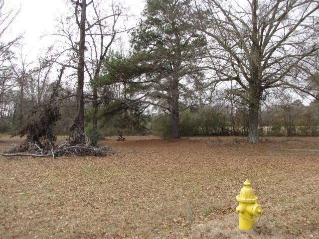 1095 TX-149 - Photo 2 of 9