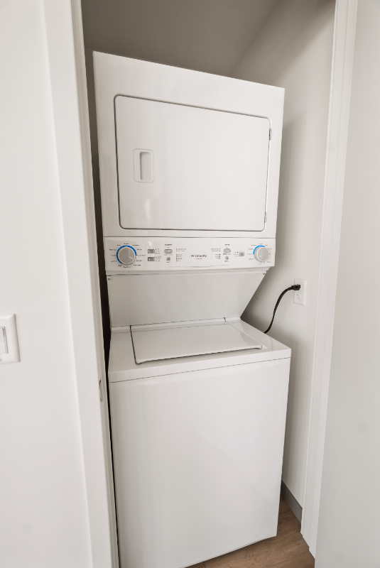 527 South Damen Avenue #2222 - Photo 6 of 18