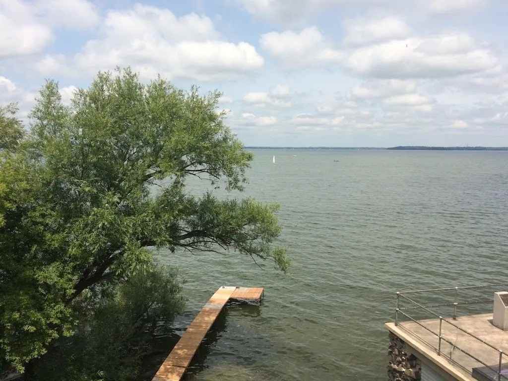 Ambrosia - Photo 2 of 10