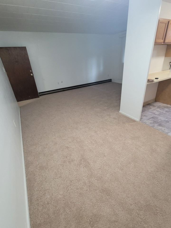 Carol Shamrock Apartments - Photo 6 of 49