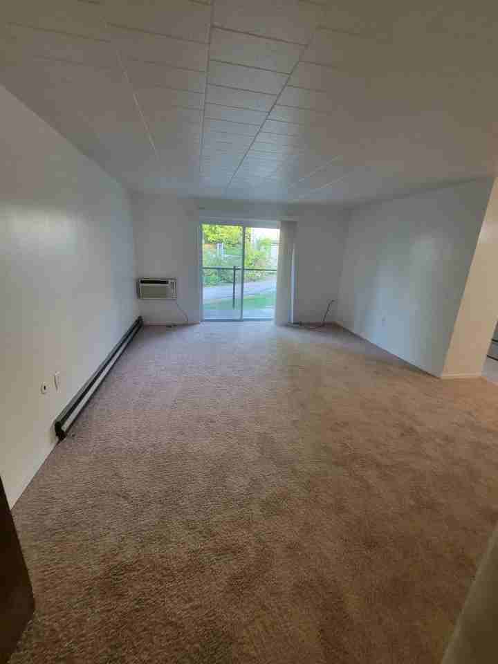 Carol Shamrock Apartments - Photo 7 of 49