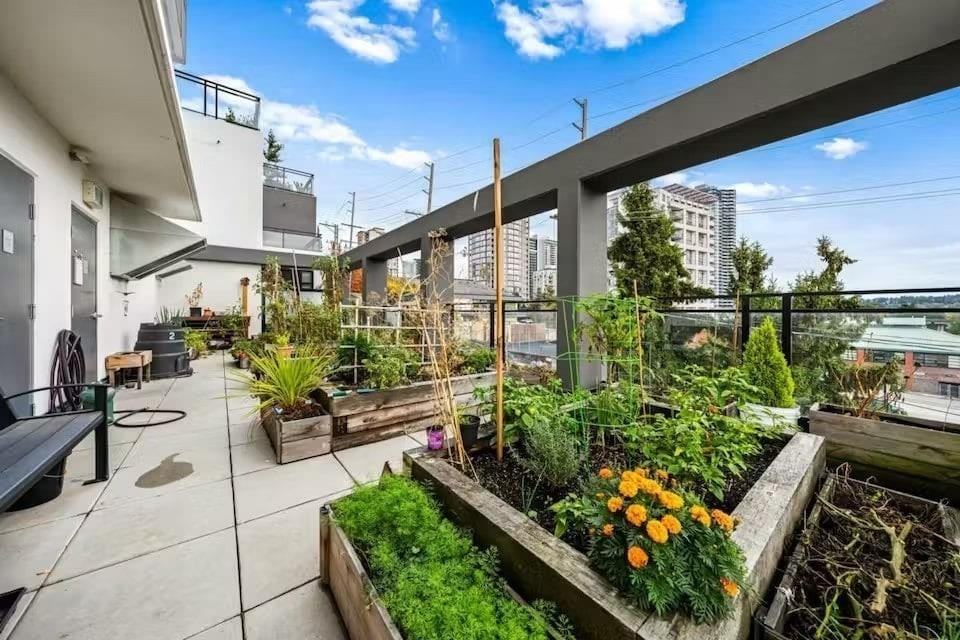1012 Auckland Street #206 - Photo 3 of 26