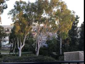 1930 Los Alamitos Dr #NA - Photo 1 of 1