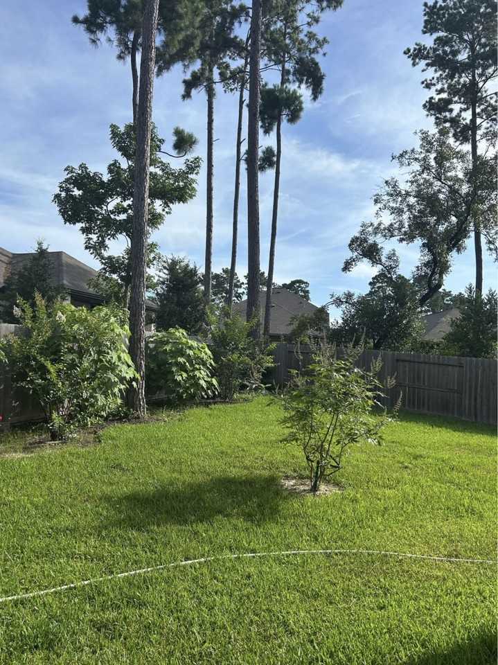 322 Fan Palm Ct #NA - Photo 3 of 34
