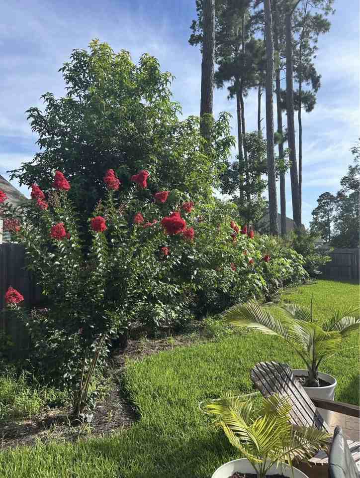 322 Fan Palm Ct #NA - Photo 4 of 34